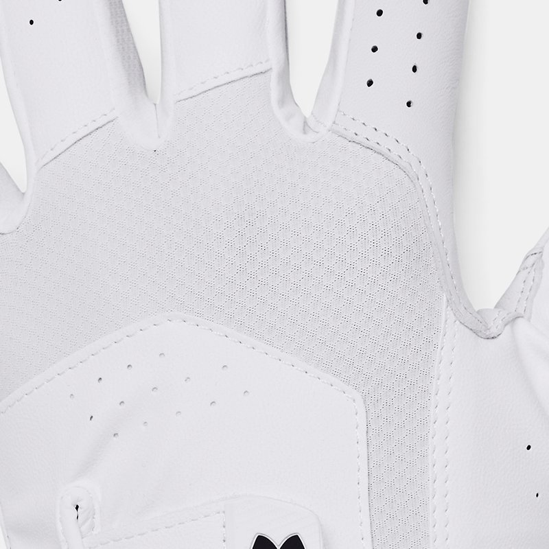 Under Armour Men's UA Iso-Chill Golf Glove