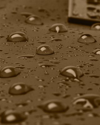 UA 트라이엄프 image number 6