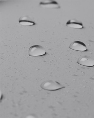 Curry image number 8