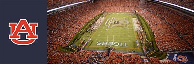 auburn under armour shoes