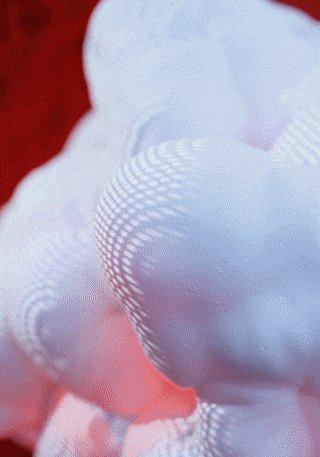 scene02-video-thumb