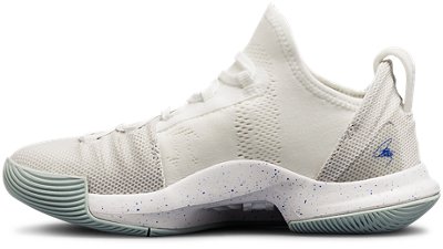 UA PS Curry 5