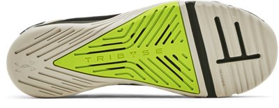 tribase reign 2