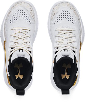 ua flow breakthru 2 basketball shoes