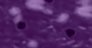 Purple Emerite / Provence Purple / Midnight Navy - 500