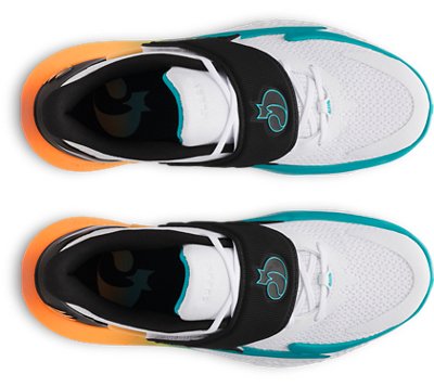 D. Fox 2 image number 2