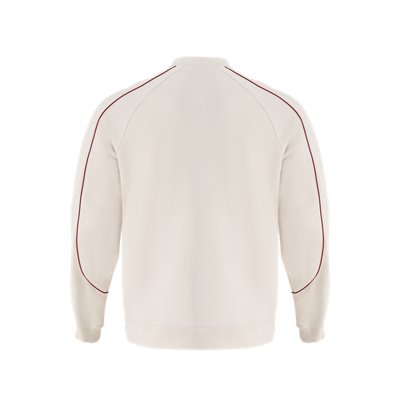 UA Heavyweight Terry Chinese New Year image number 1