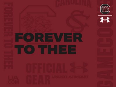 under armour gamecocks