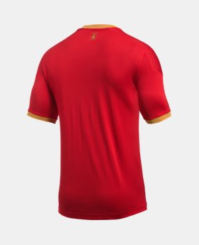 Men's AZ Alkmaar 16/17 Replica Jersey 1 Color $90