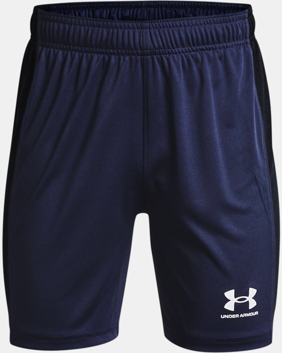 Youth UA Challenger Knit Shorts