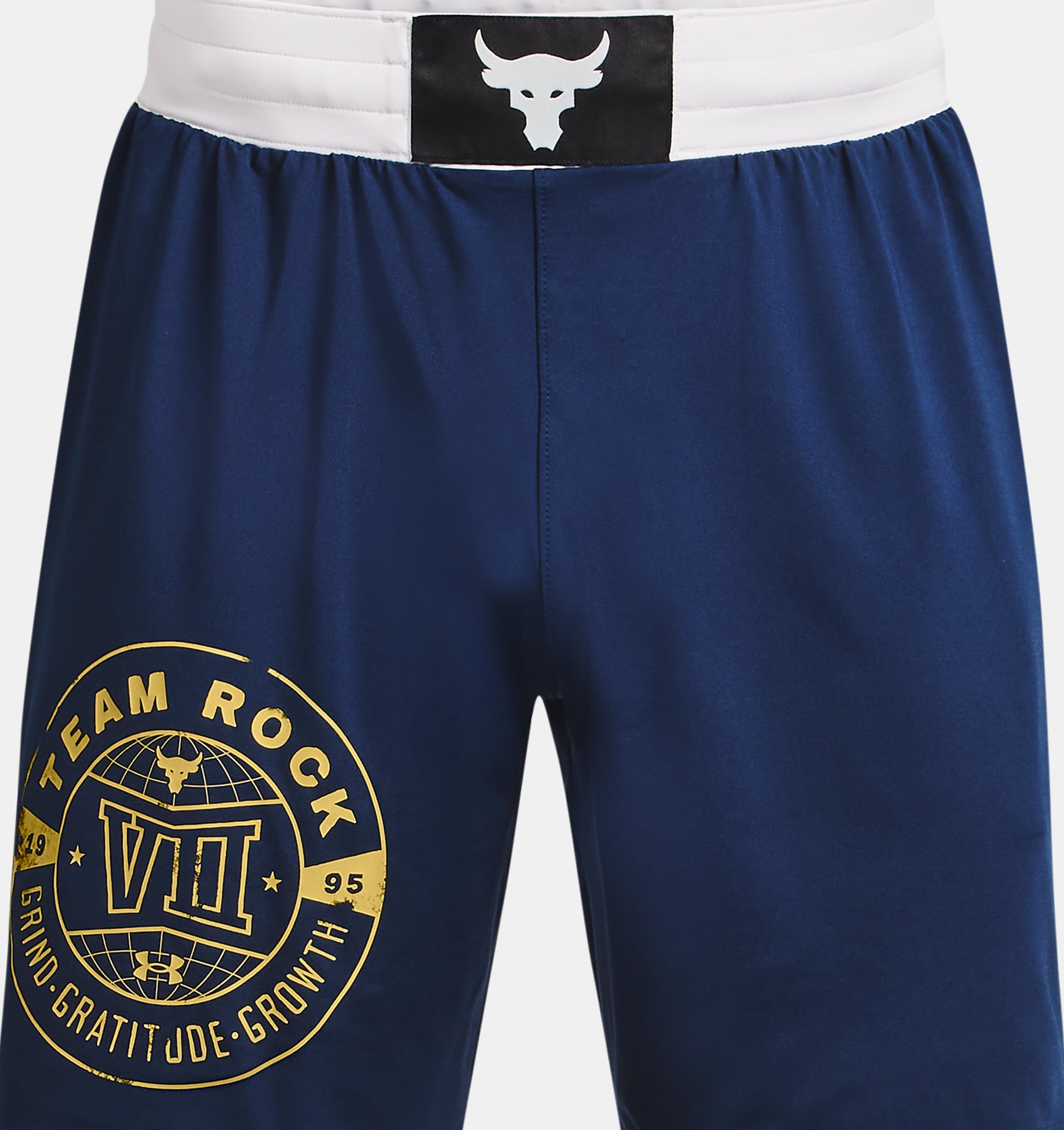 Men's Project Rock Boxing Shorts Under Armour