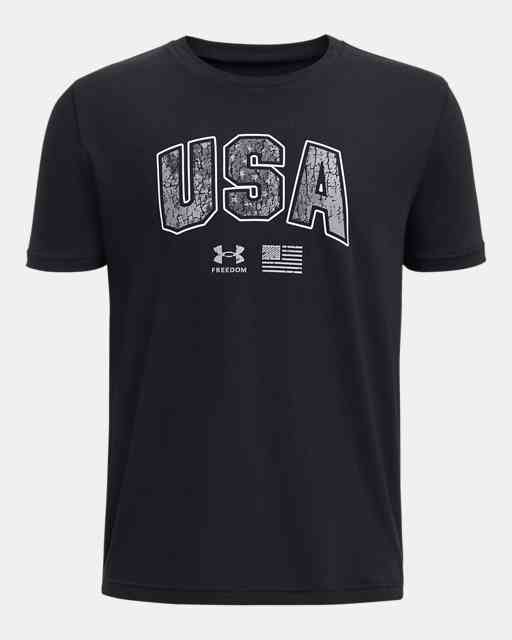 Boys' UA Freedom Seasonal Energy T-Shirt