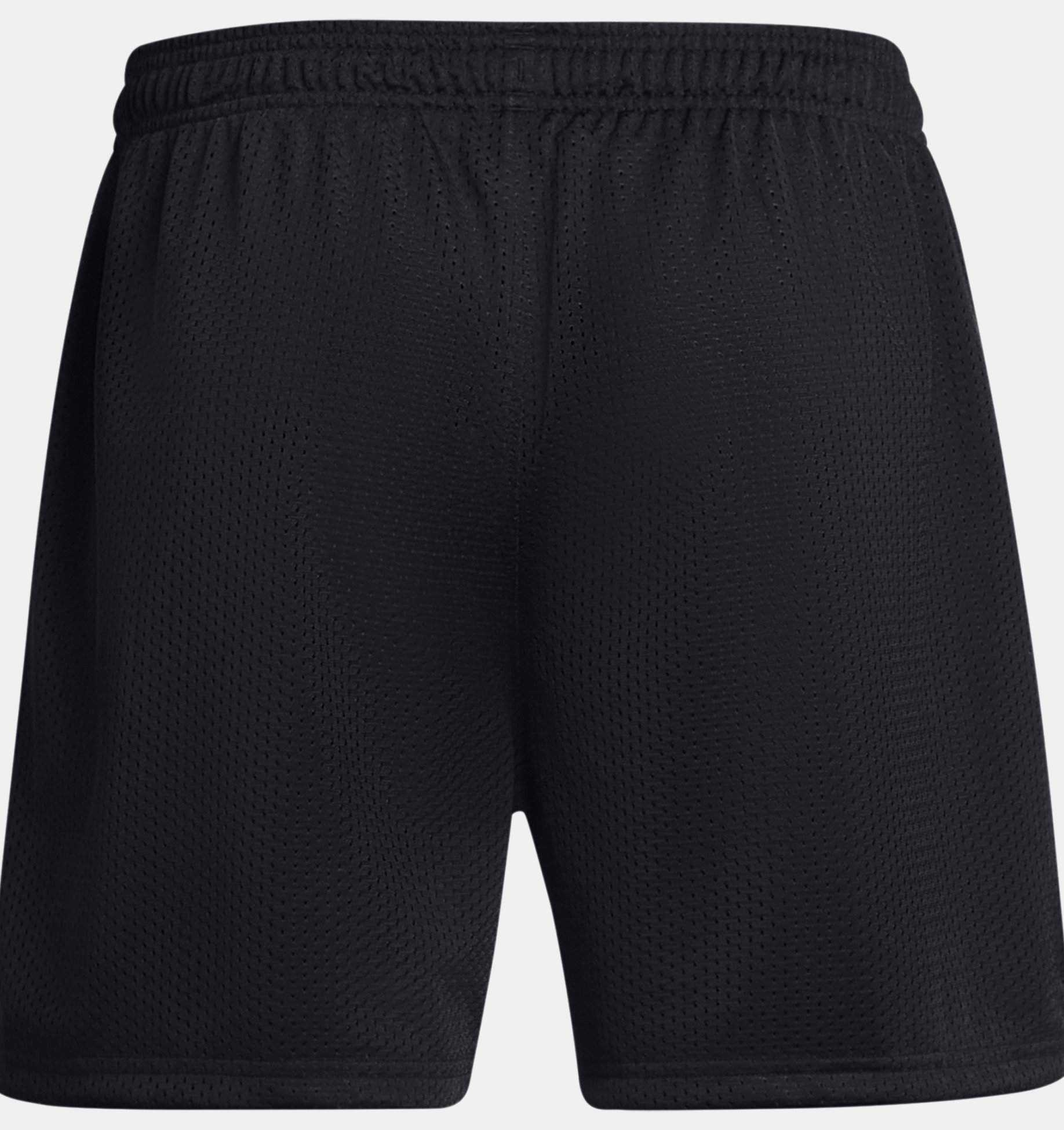 Men's UA Icon Mesh Shorts | Under Armour ID