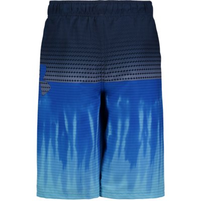 under armour volley shorts