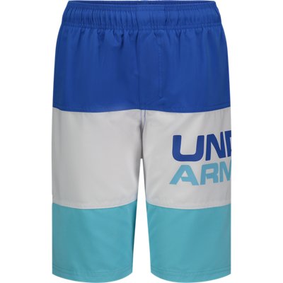 under armour volley shorts