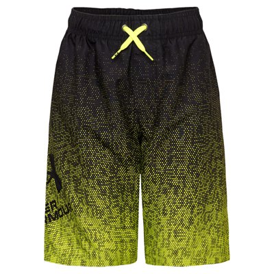 under armour volley shorts