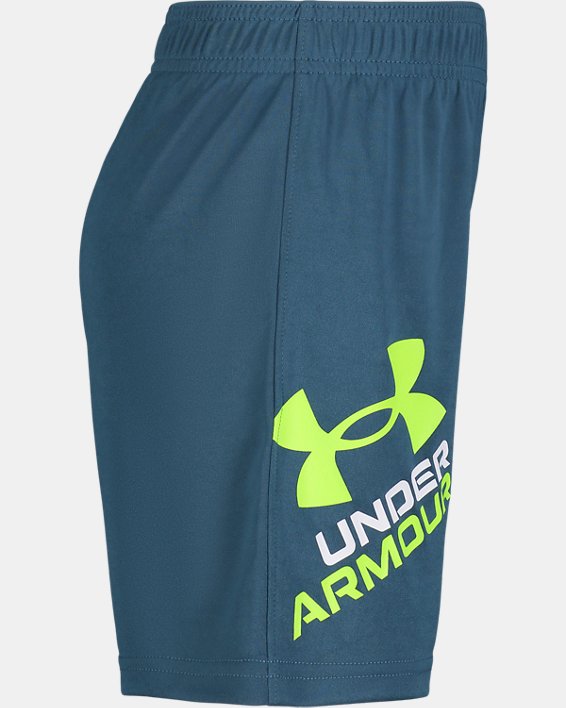 Toddler Boys' UA Prototype Logo Shorts