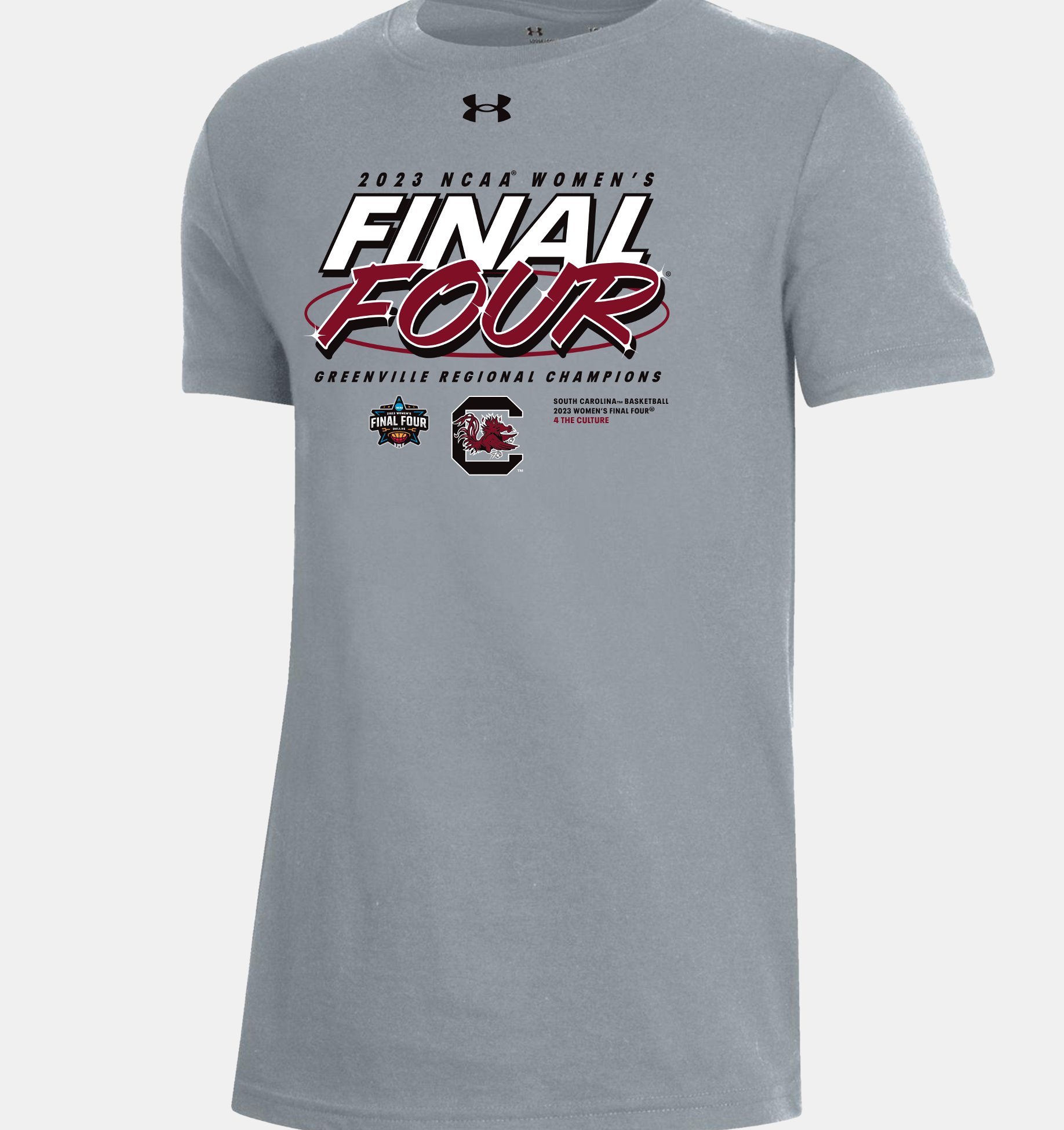 Kids' UA South Carolina Collegiate Regional Champions Locker Room T-Shirt