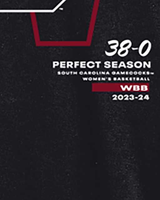 Unisex UA South Carolina Perfect Season Collegiate T-Shirt