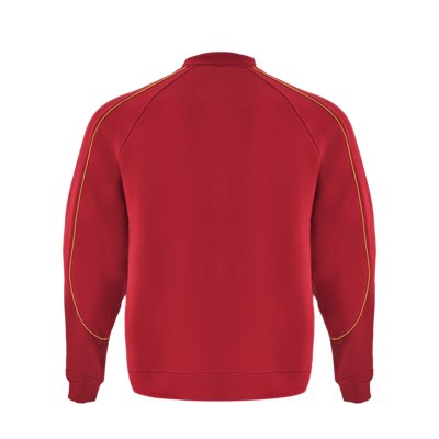 UA Heavyweight Terry Chinese New Year image number 1