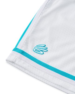 Curry Tour Mesh image number 5