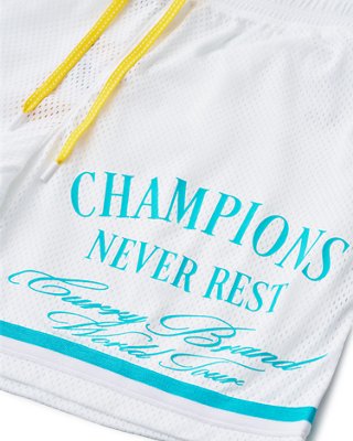 Curry Tour Mesh image number 1