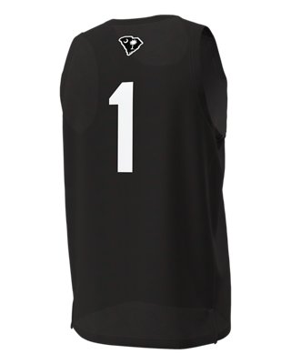 UA South Carolina Collegiate Basketball Replica