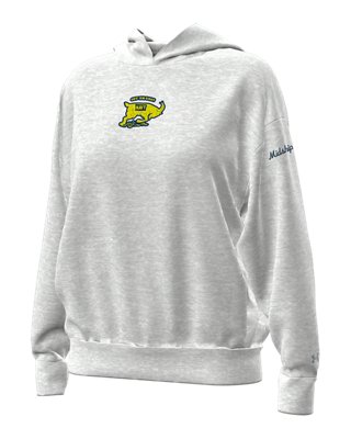 UA Icon Fleece Collegiate Women's Hoodie | Under Armour