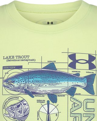 UA Schematic Trout