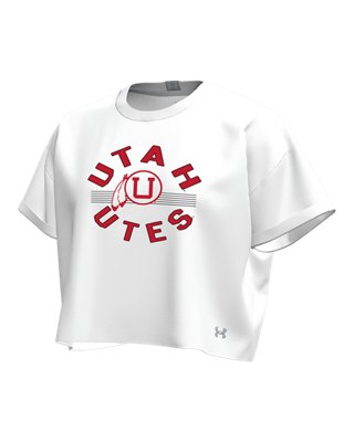 UA Gameday Icon Heavyweight Collegiate - thumbnail 3