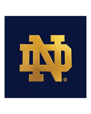 UA Icon Fleece Taped Collegiate - thumbnail 4