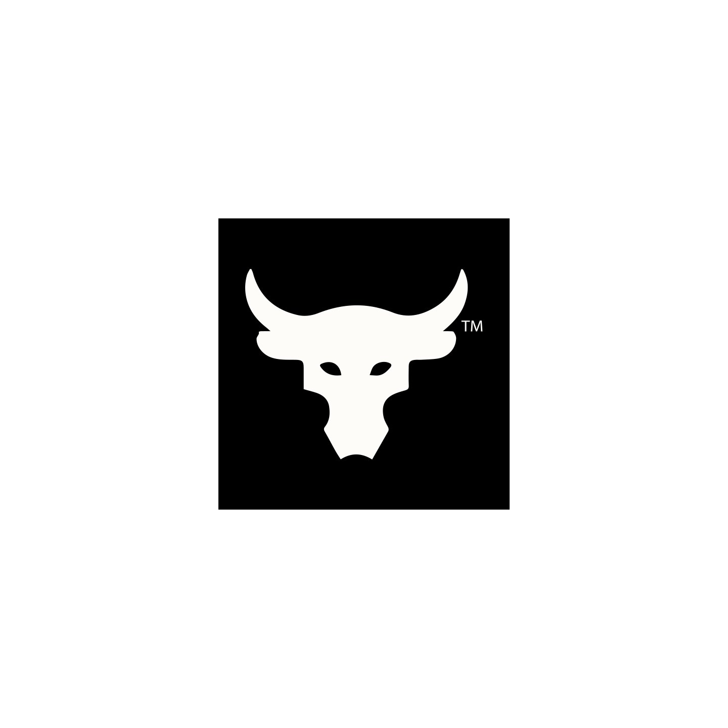Under armour project rock logo best sale
