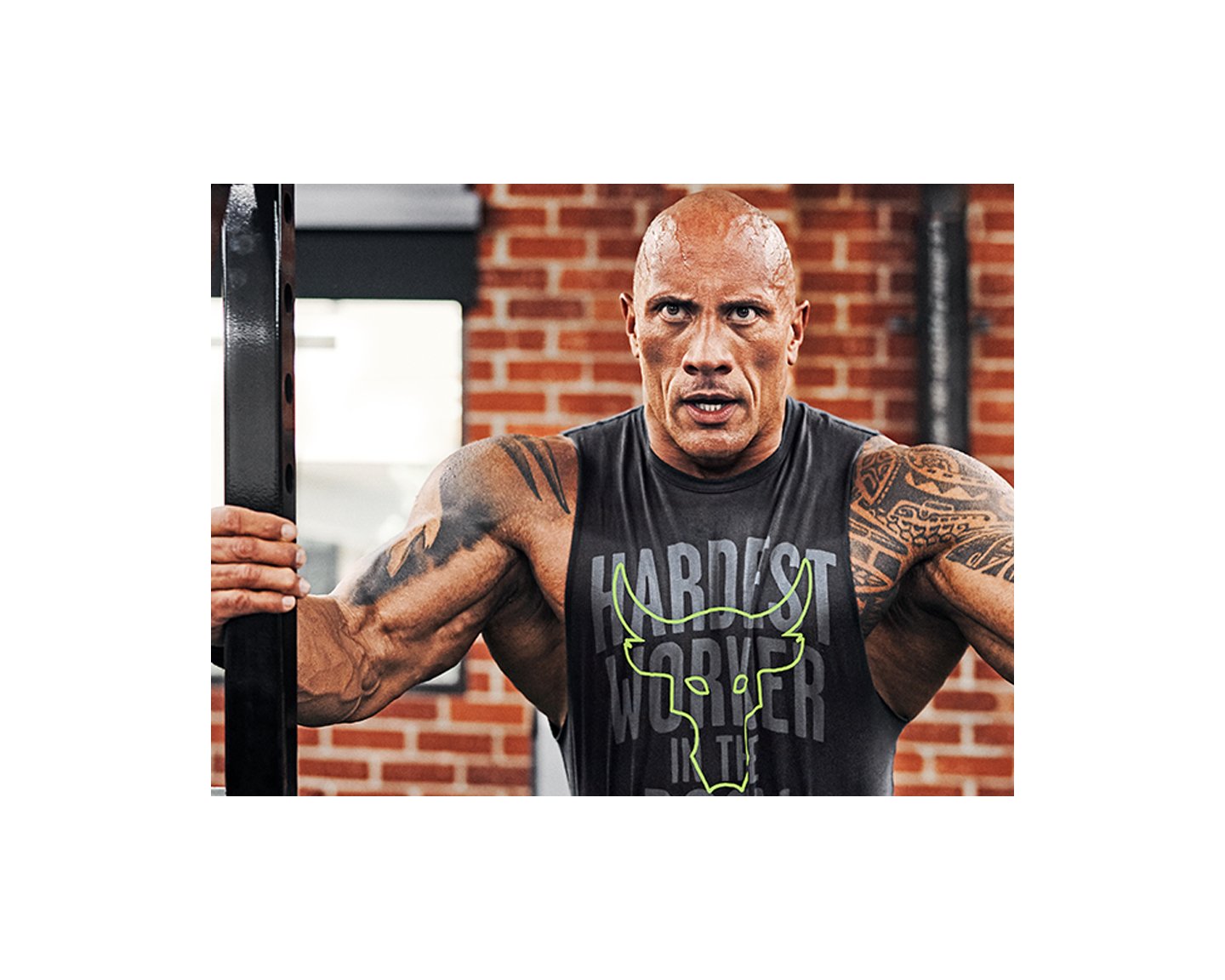 The rock workout gloves 2025