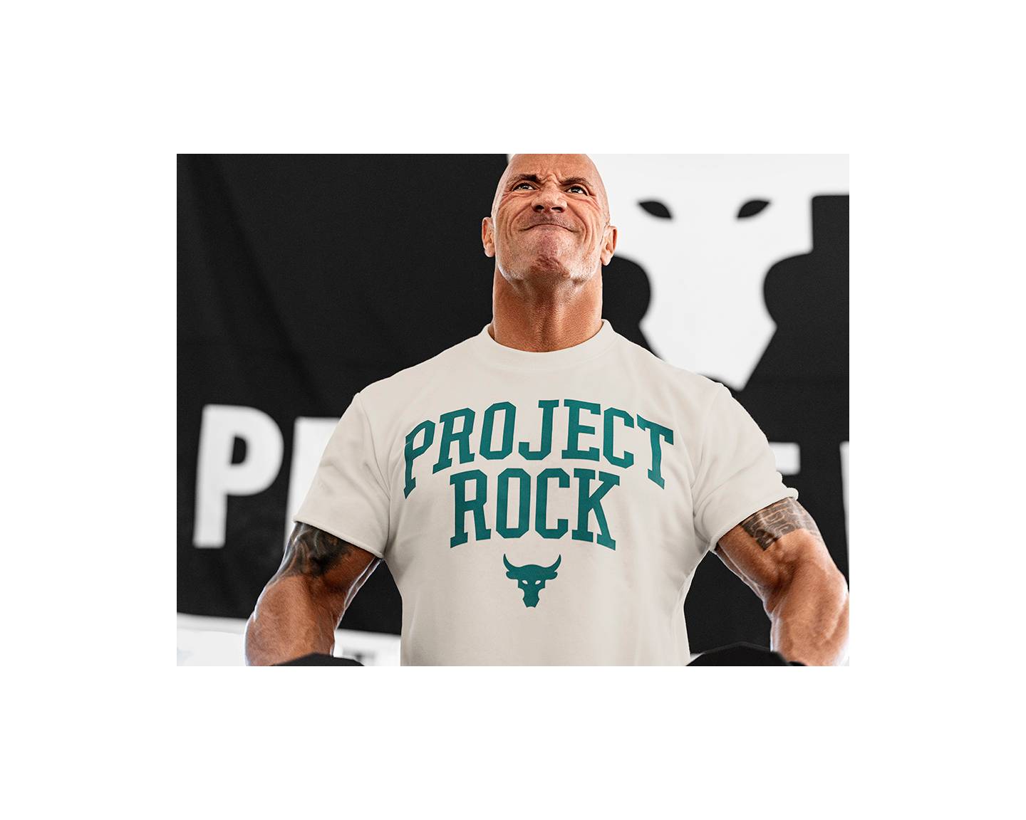 Men's Project Rock Terry | Under Armour