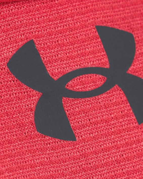 Koszulka męska polo UA Tech™, Red, pdpMainDesktop image number 2