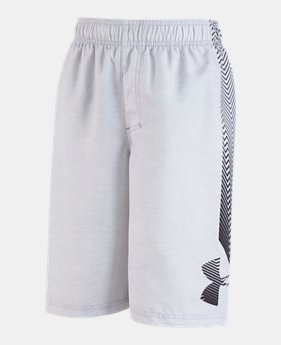 Boys' Toddler UA Big Logo Volley $27