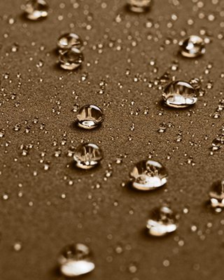 UA Unstoppable image number 4