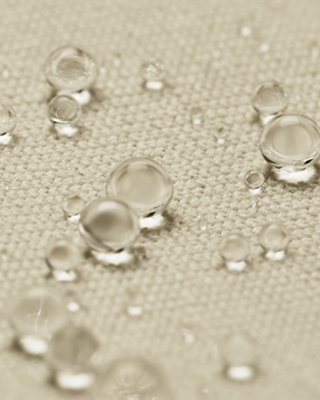 Curry Splash image number 4